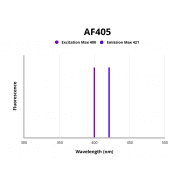 Goat Anti-Human IgG F(ab')2 Antibody (AF405)