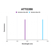 HSP90 alpha / beta Antibody (ATTO390)