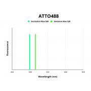 UV Radiation Resistance-Associated Gene Protein (UVRAG) Antibody (ATTO488)