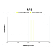 Heat Shock Protein HSP 90-Alpha (HSP90AA1) Antibody (PE)