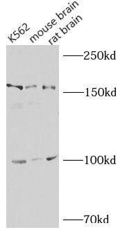 FNab05757 product image