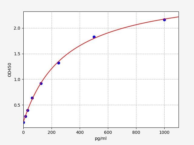 Product Graph