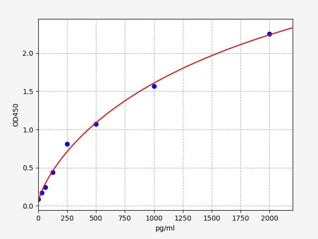 Product Graph