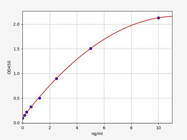 Human RORC(Nuclear receptor ROR-gamma) ELISA Kit