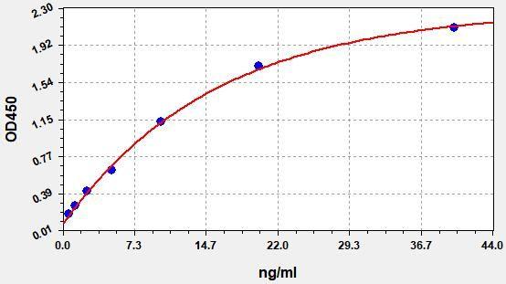 Human A1BG(Alpha-1B-glycoprotein) ELISA Kit