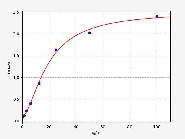 Human SERPINB5(Serpin B5) ELISA Kit