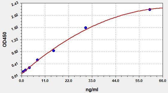 Human MEPE(Matrix extracellular phosphoglycoprotein) ELISA Kit