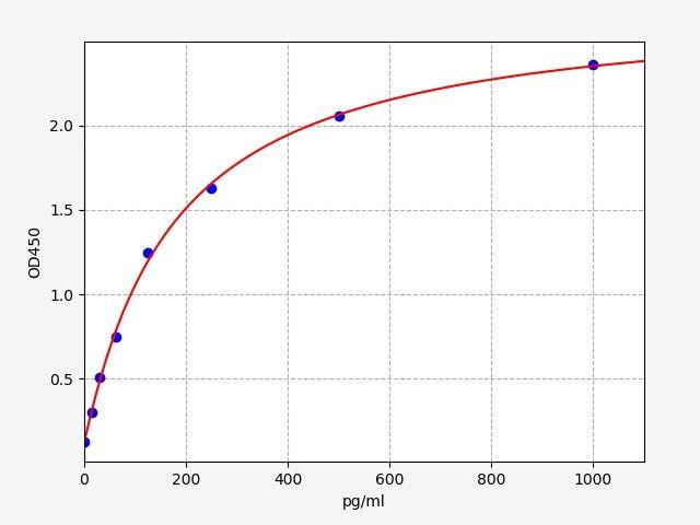 Human VEGF-B(Vascular Endothelial Cell Growth Factor B) ELISA Kit