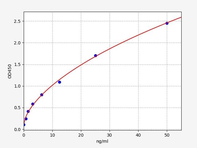 Product Graph