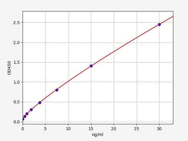 Human BNIP3(BCL2/adenovirus E1B 19 kDa protein-interacting protein 3) ELISA Kit