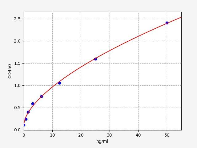 Human CD72(B-cell differentiation antigen) ELISA Kit