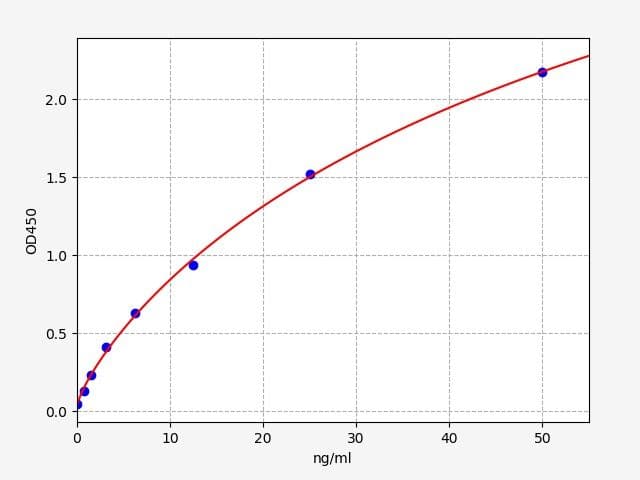 Product Graph