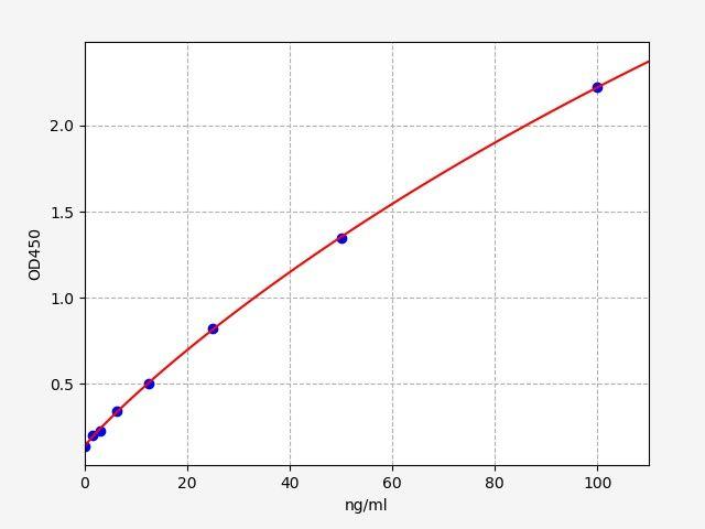 Human anti-MMP-2 ELISA Kit