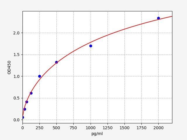 Monkey IL-8(Interleukin 8) ELISA Kit