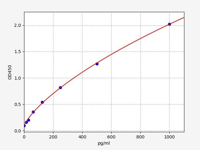 Porcine IFN-β(Interferon Beta) ELISA Kit