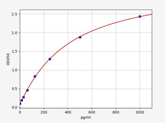 Rat VEGF-B(Vascular Endothelial Cell Growth Factor B) ELISA Kit