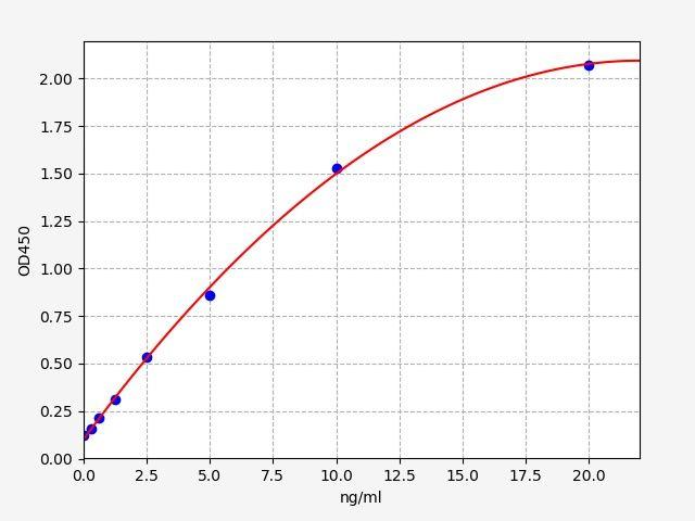 Rat AGE(Advanced glycation end-product) ELISA Kit