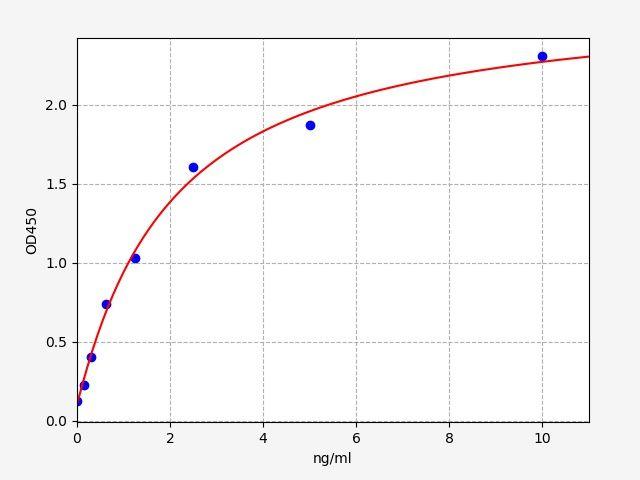 Rat Enpep(Glutamyl aminopeptidase) ELISA Kit