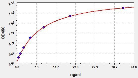 Rat ALP(Alkaline Phosphatase) ELISA Kit