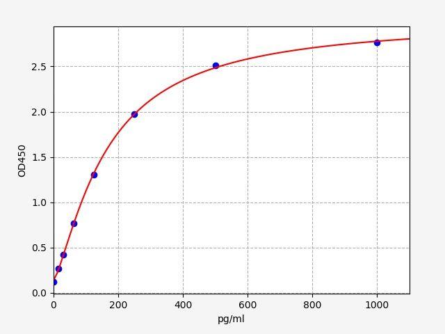 Rat HRH1(Histamine Receptor H1) ELISA Kit