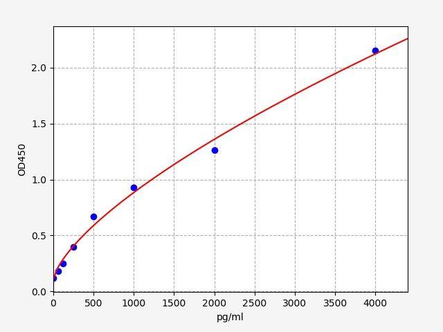 Rat PINP(Procollagen Type I N-Terminal Propeptide) ELISA Kit