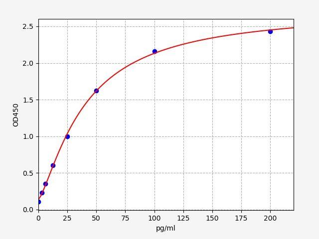 Rabbit IFN-γ(Interferon Gamma) ELISA Kit