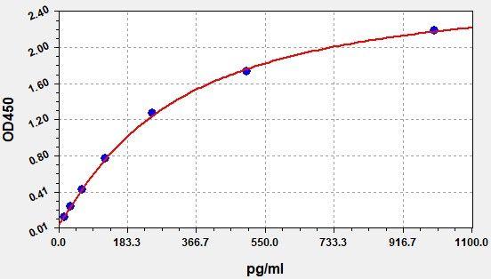 Rabbit IL-6(Interleukin 6) ELISA Kit