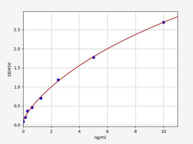 Rabbit LEP(Leptin) ELISA Kit