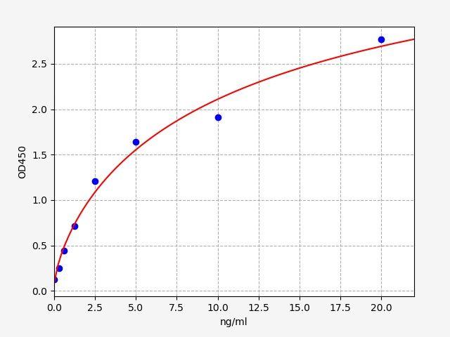 Rabbit MMP-2(Matrix Metalloproteinase 2) ELISA Kit