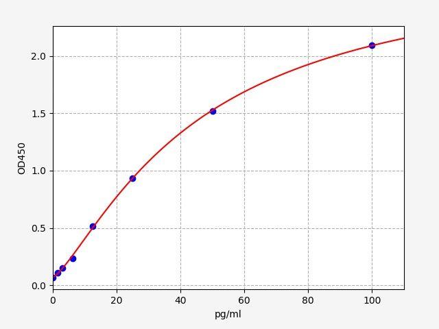 Rabbit VEGF(Vascular Endothelial Cell Growth Factor) ELISA Kit