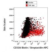 CD106 Antibody (Biotin)