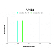 Myeloid Cell Surface Antigen CD33 (CD33) Antibody (AF488)