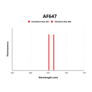 Neprilysin / NEP (MME) Antibody (AF647)